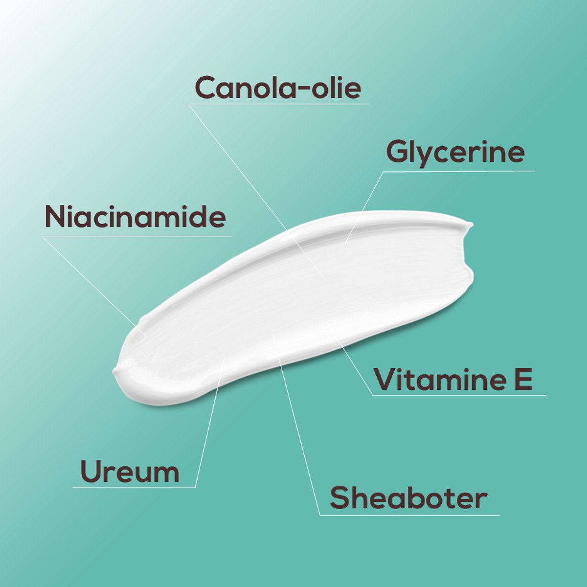 Biodermal Dagcreme -en Nachtcrème - Hydraterend en voedend - Gezichtsverzorging - 100 ml