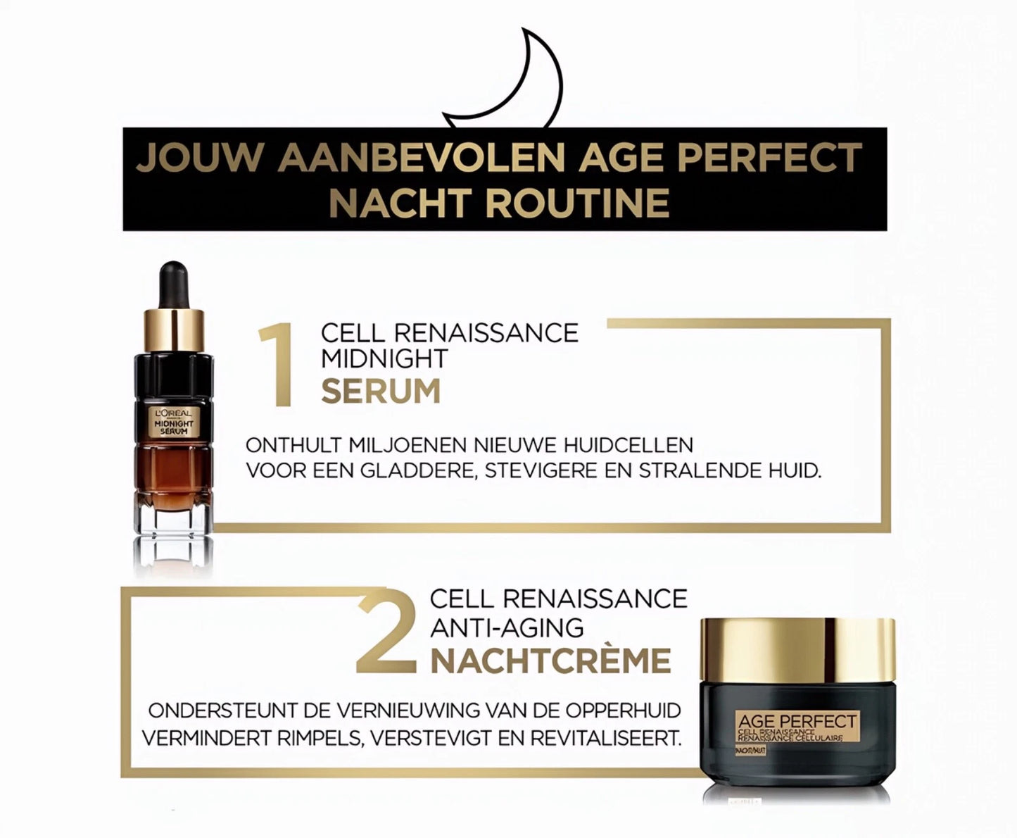 L'Oréal Paris Age Perfect Cell Renaissance Nachtcrème - 50 ml - Verstevigend