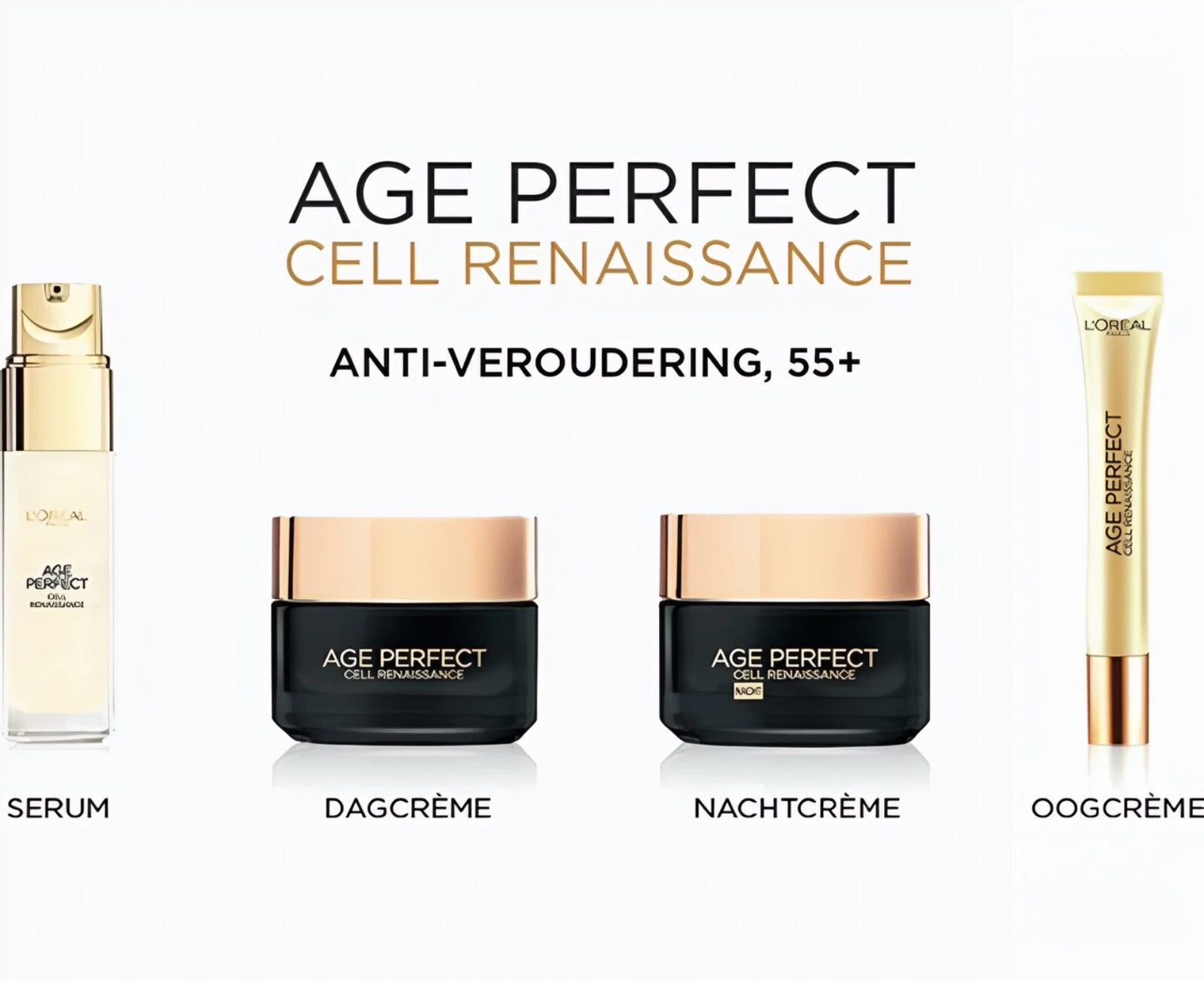 L'Oréal Paris Age Perfect Cell Renaissance Nachtcrème - 50 ml - Verstevigend