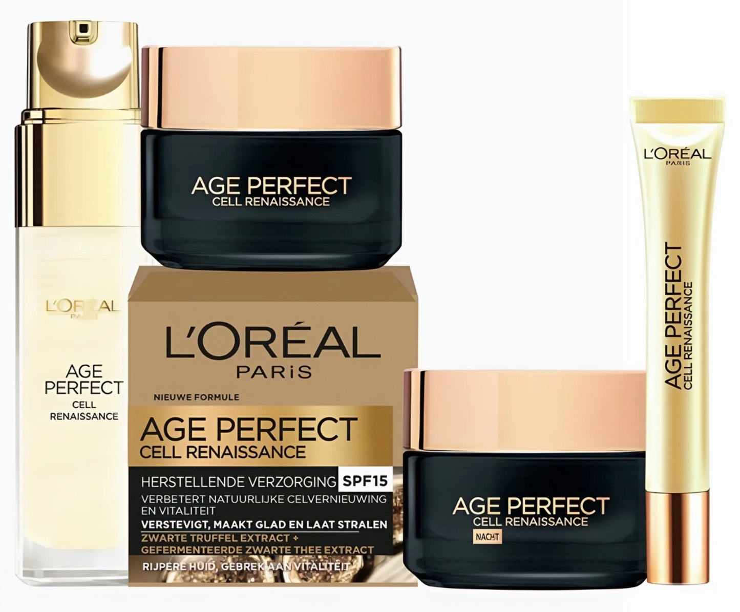 L'Oréal Paris Age Perfect Cell Renaissance Nachtcrème - 50 ml - Verstevigend